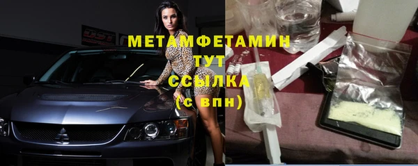 прущие грибы Бородино