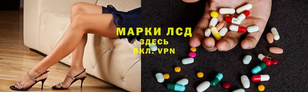 прущие грибы Бородино