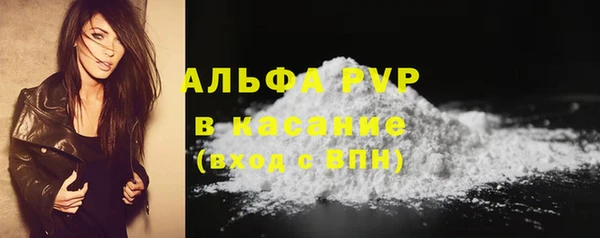 прущие грибы Бородино