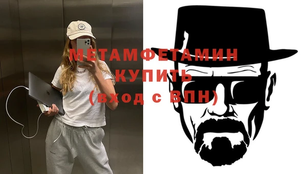 прущие грибы Бородино