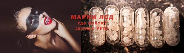 прущие грибы Бородино