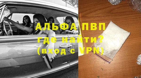 прущие грибы Бородино