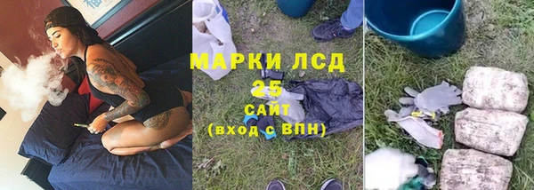 прущие грибы Бородино