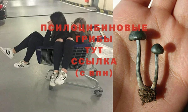 мдпв Бронницы