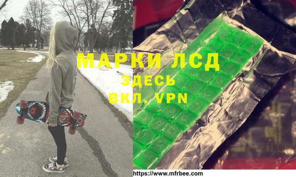 прущие грибы Бородино