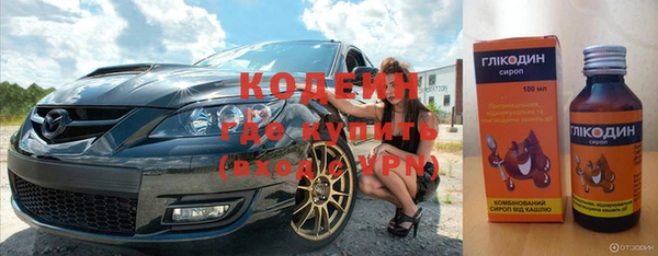 прущие грибы Бородино