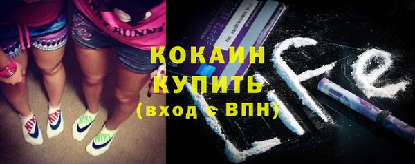 прущие грибы Бородино