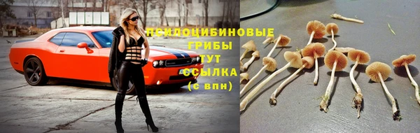 СК Бугульма