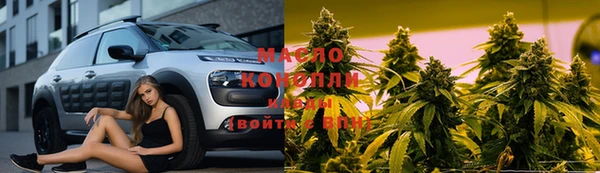 прущие грибы Бородино