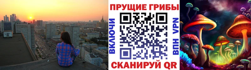 Купить закладки  Белозерск  Галлюциногенные грибы Cubensis 
